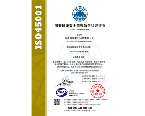 職業(yè)健康安全管理證書